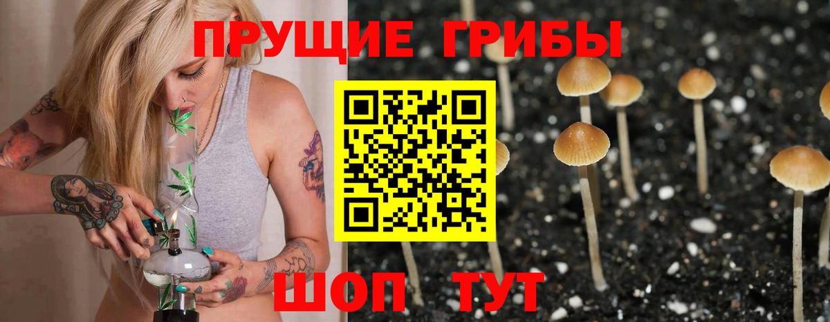 Нефтекамск  Псилоцибиновые грибы ЛСД  Вход с VPN  Галлюциногенные грибы GOLDEN TEACHER 