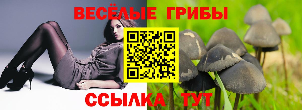Псилоцибиновые грибы GOLDEN TEACHER Нефтекамск